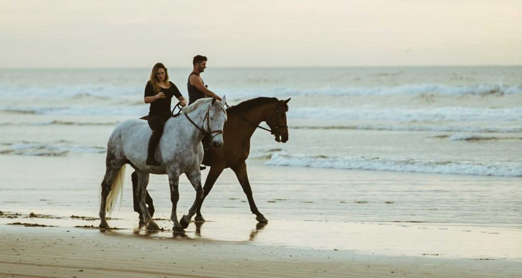 horseback riding point reyes national seashore