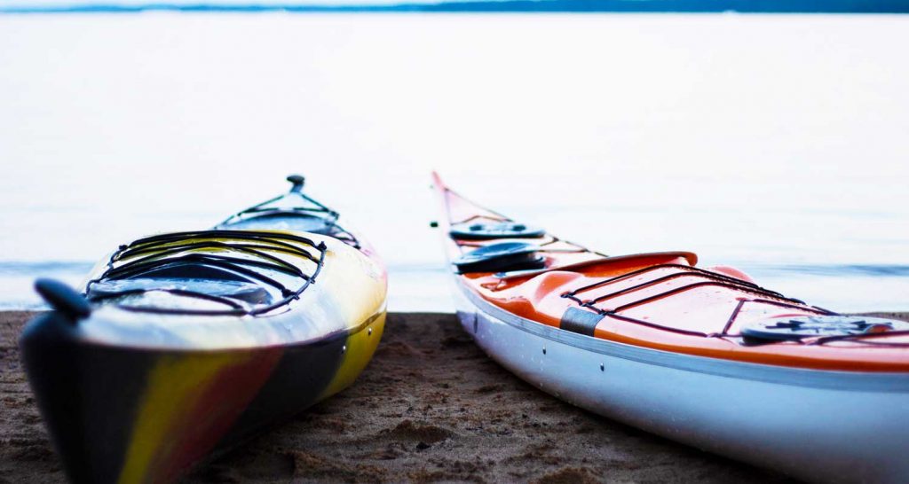 kayaking point reyes national seashore and tomales bay