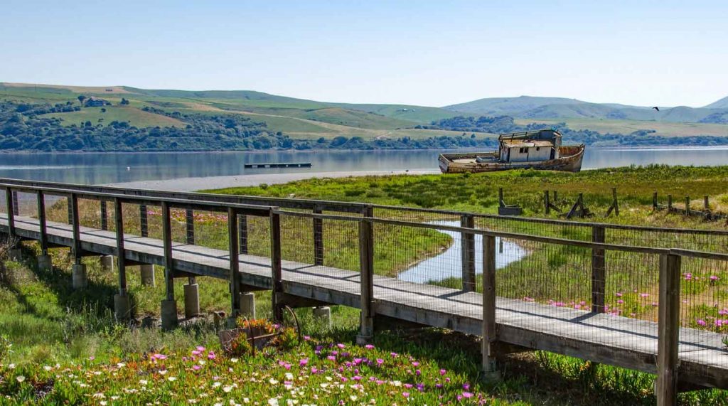 pier, meadow, old boat and tomales bay